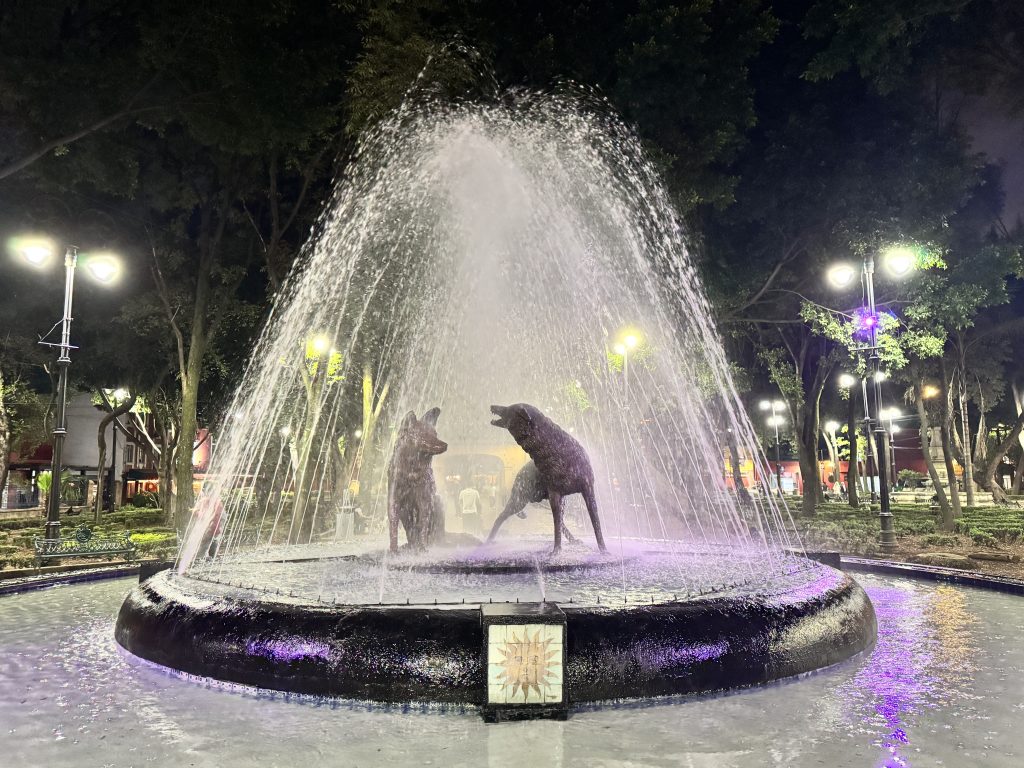 coyoacan mexico city
